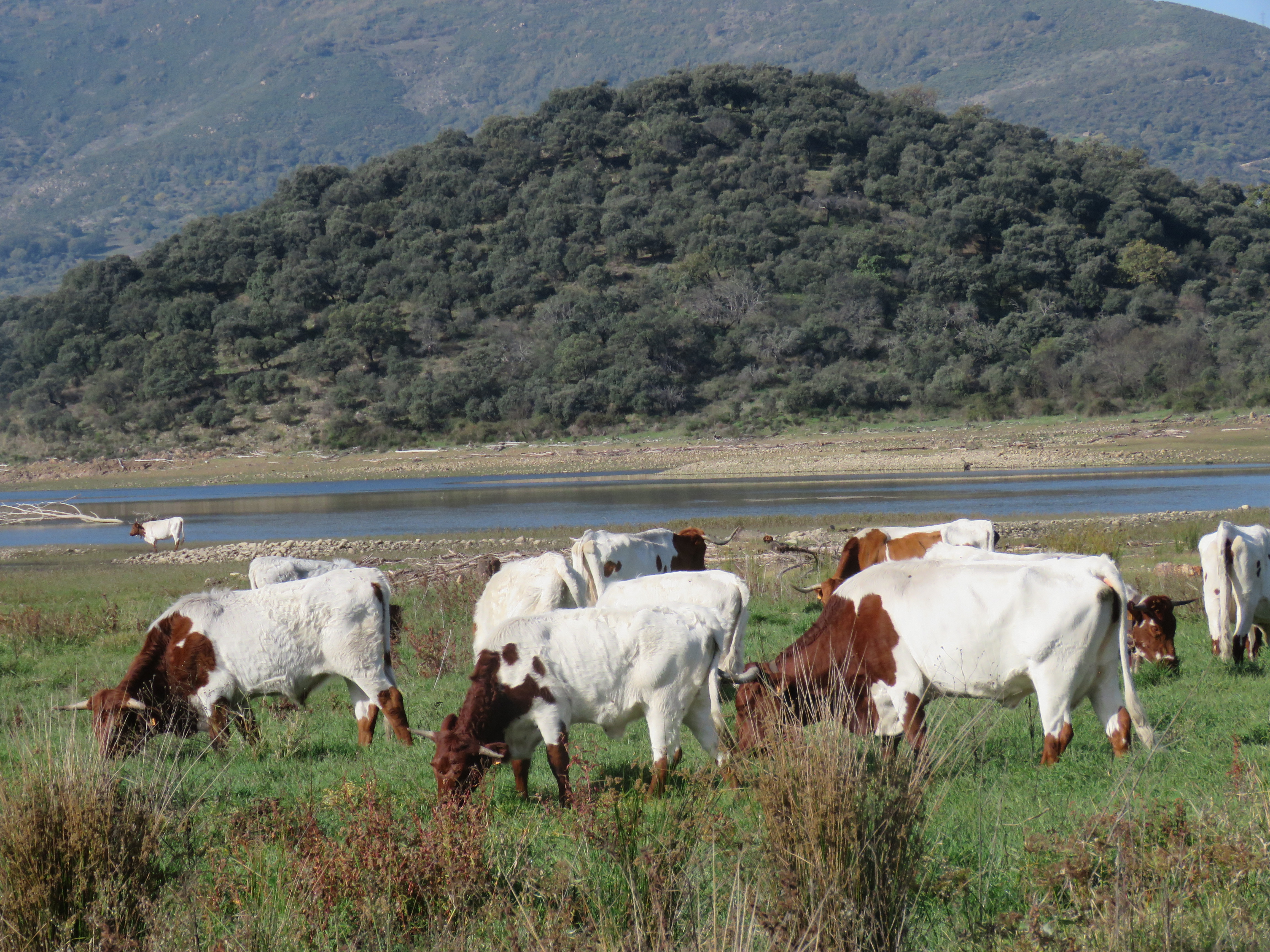 Image fournie par ANABE