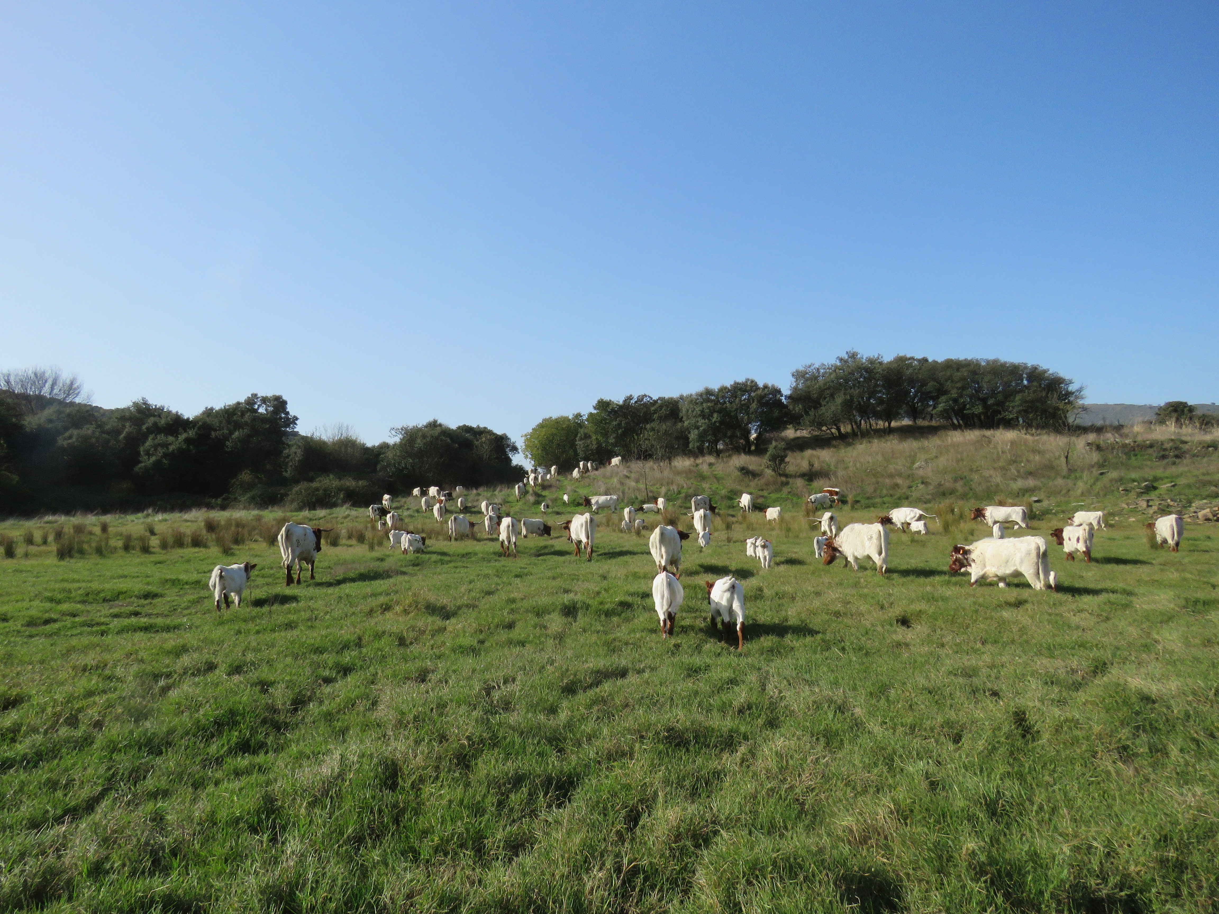 Image fournie par ANABE