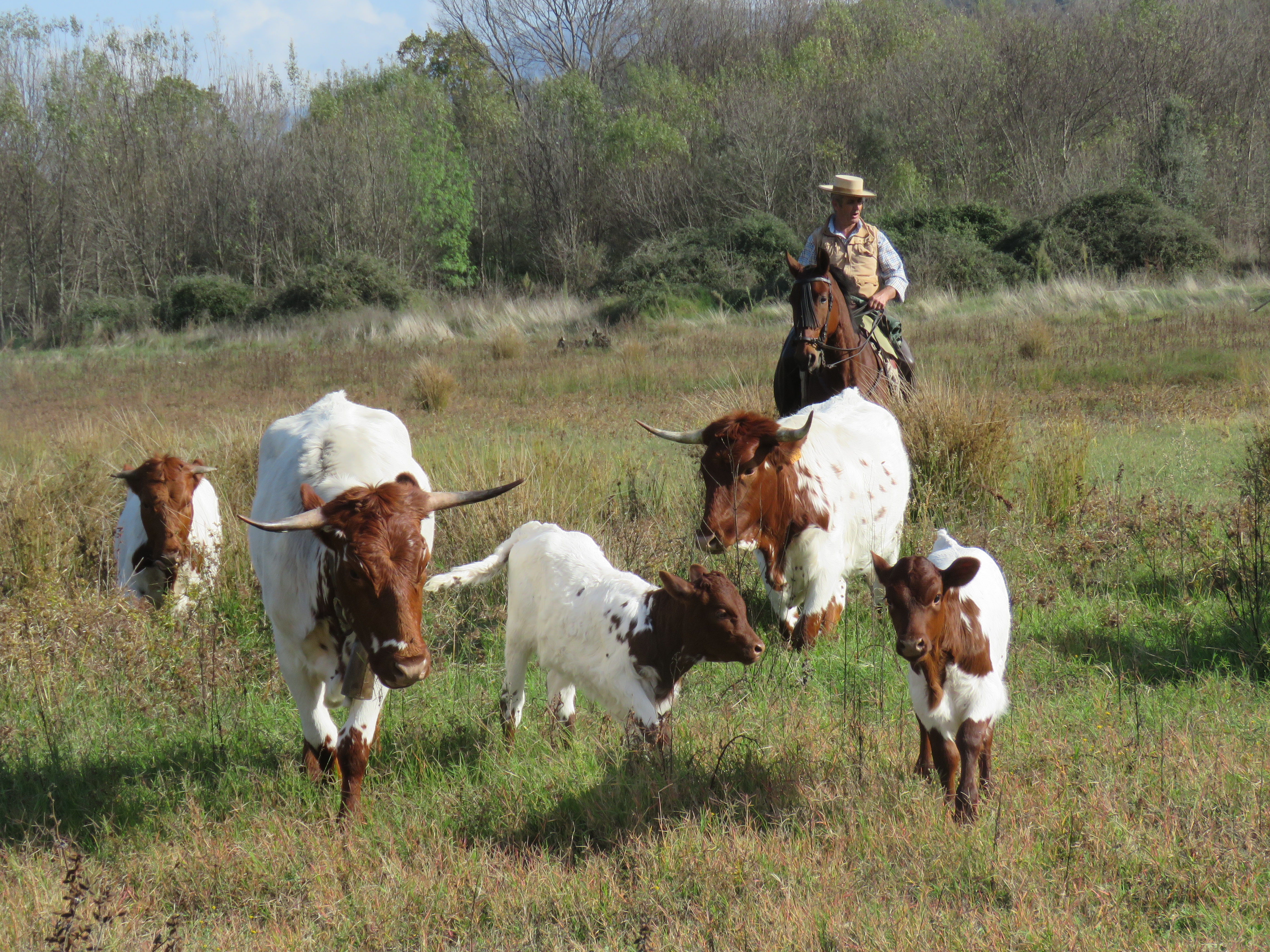 Image fournie par ANABE