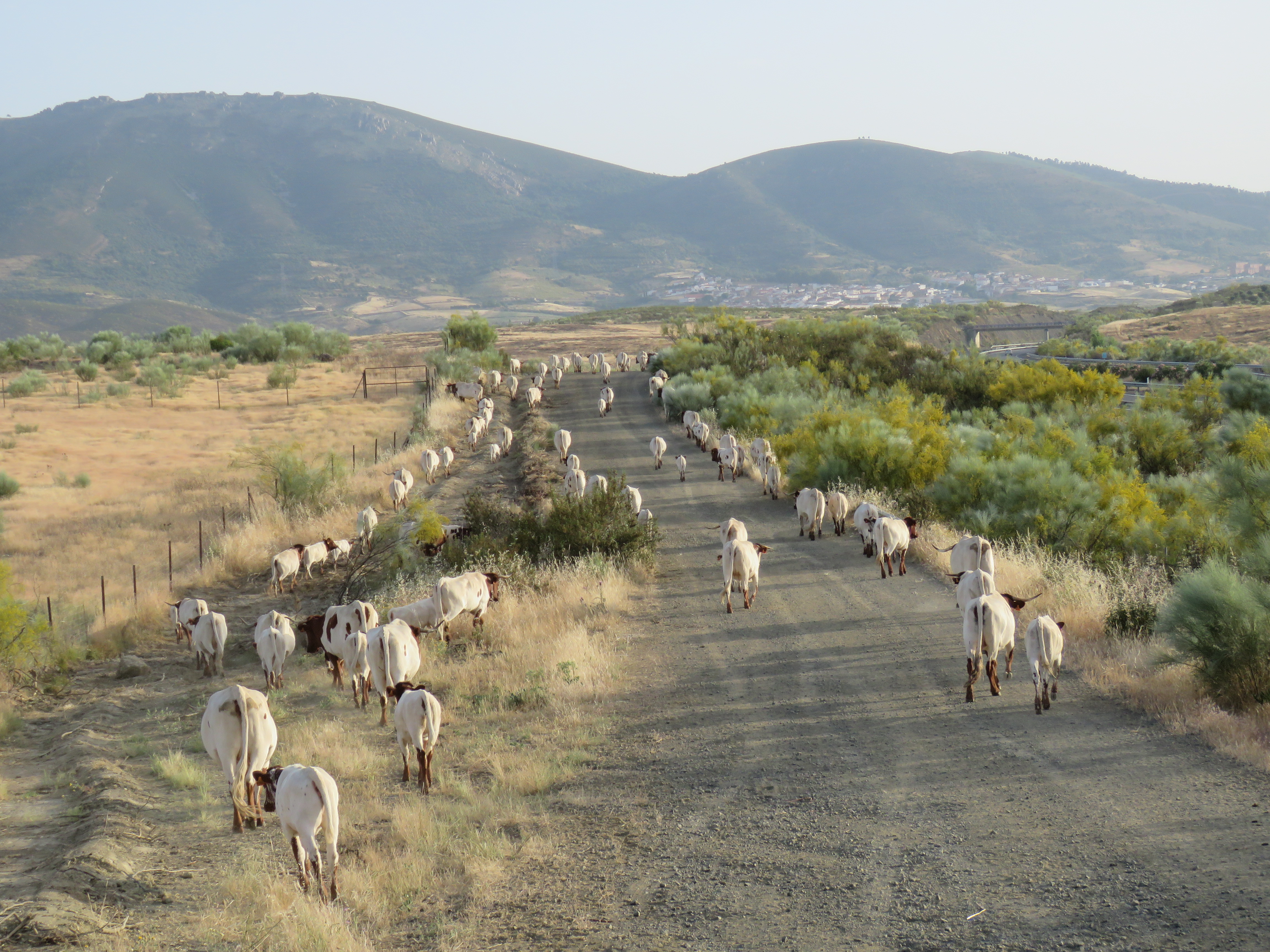Image fournie par ANABE