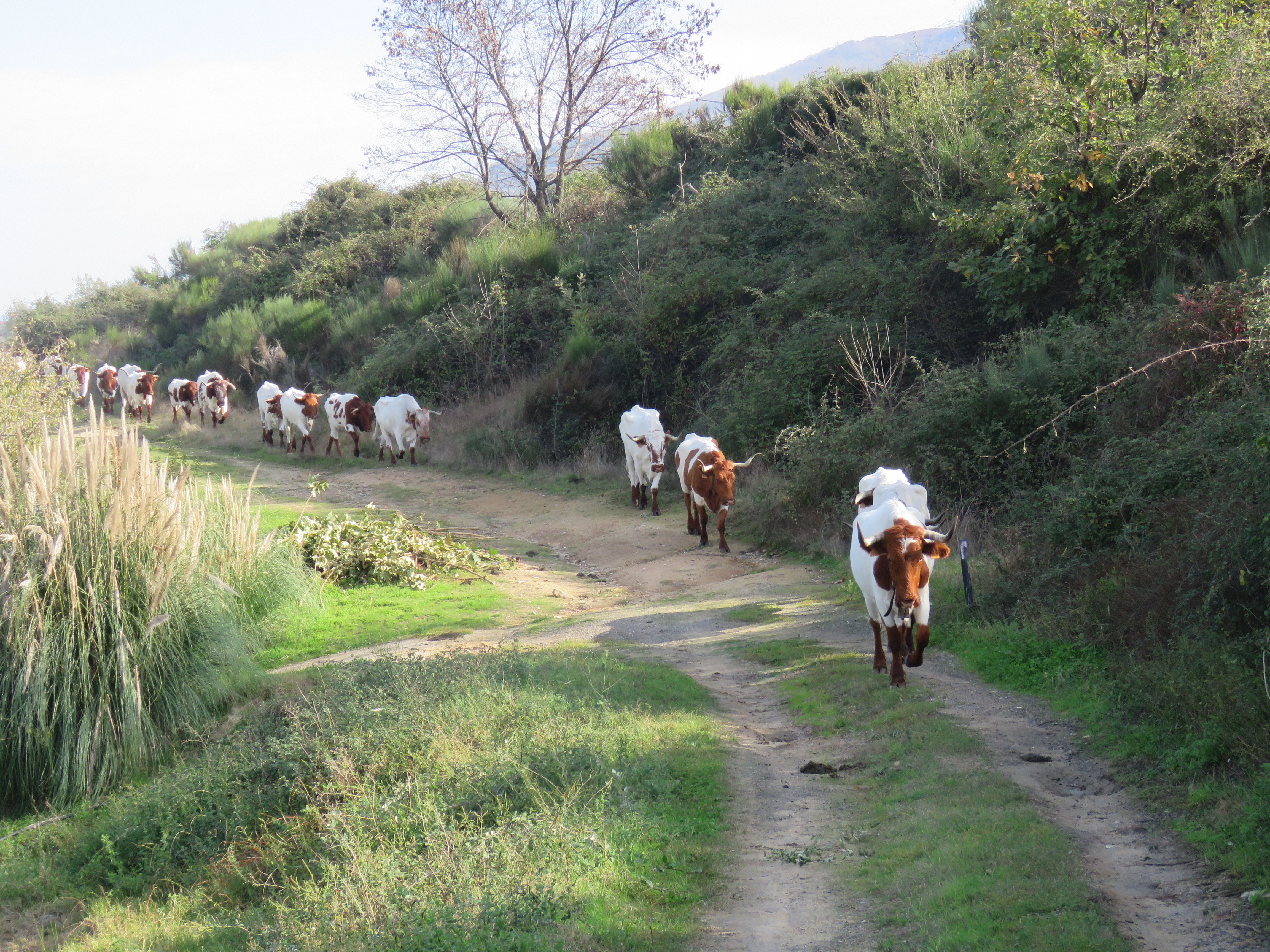 Image fournie par ANABE