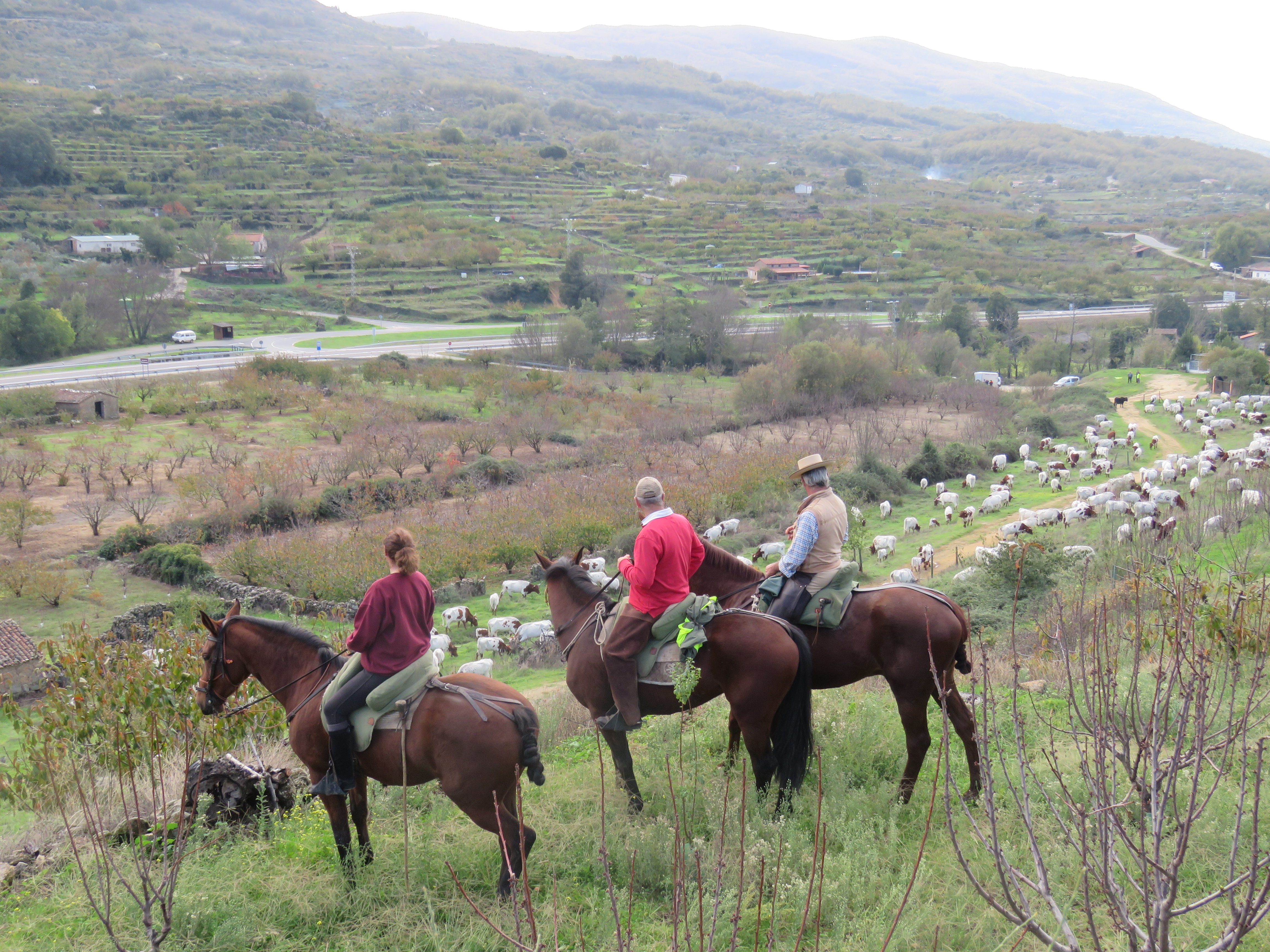 Image fournie par ANABE