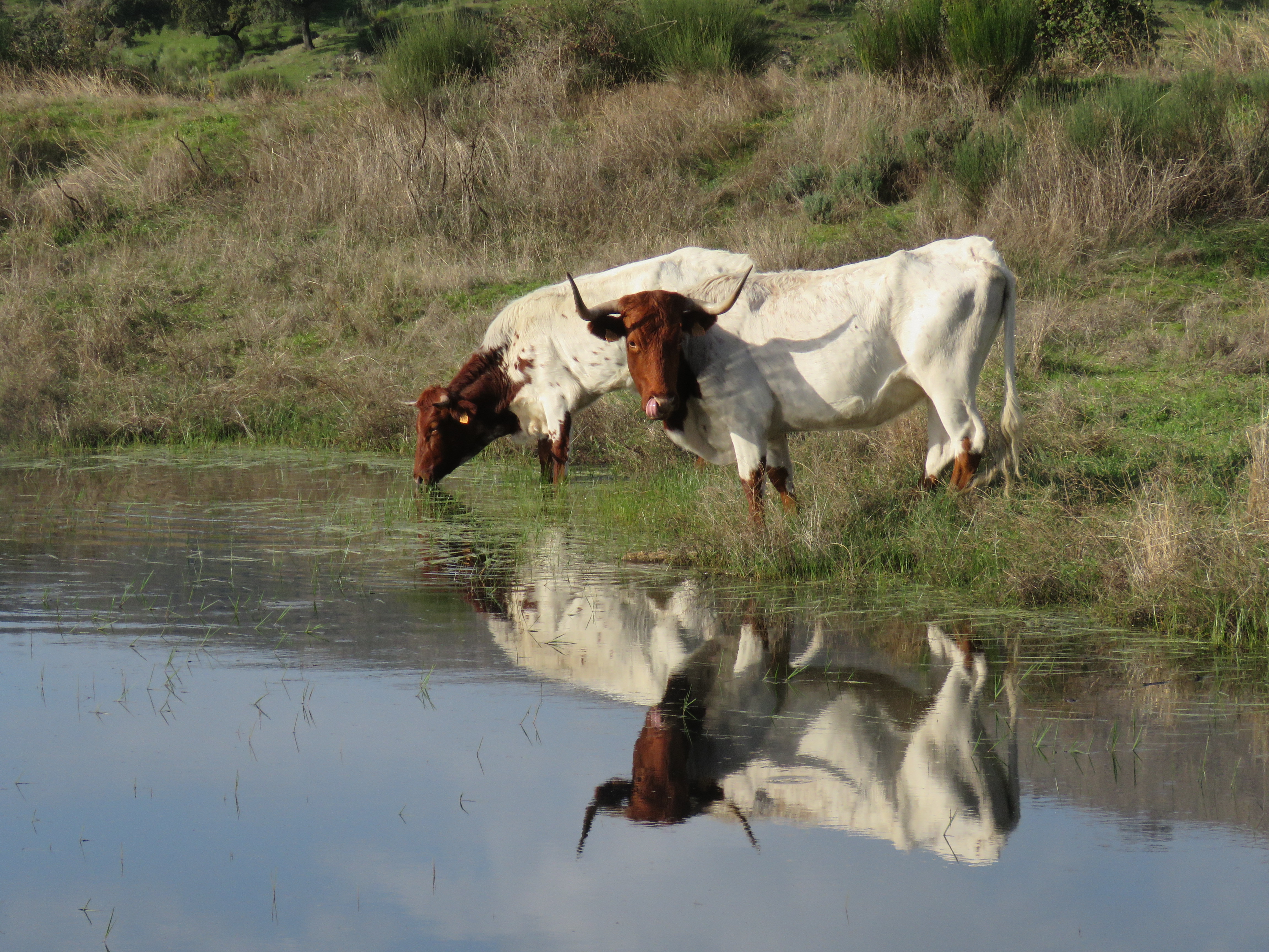 Image fournie par ANABE