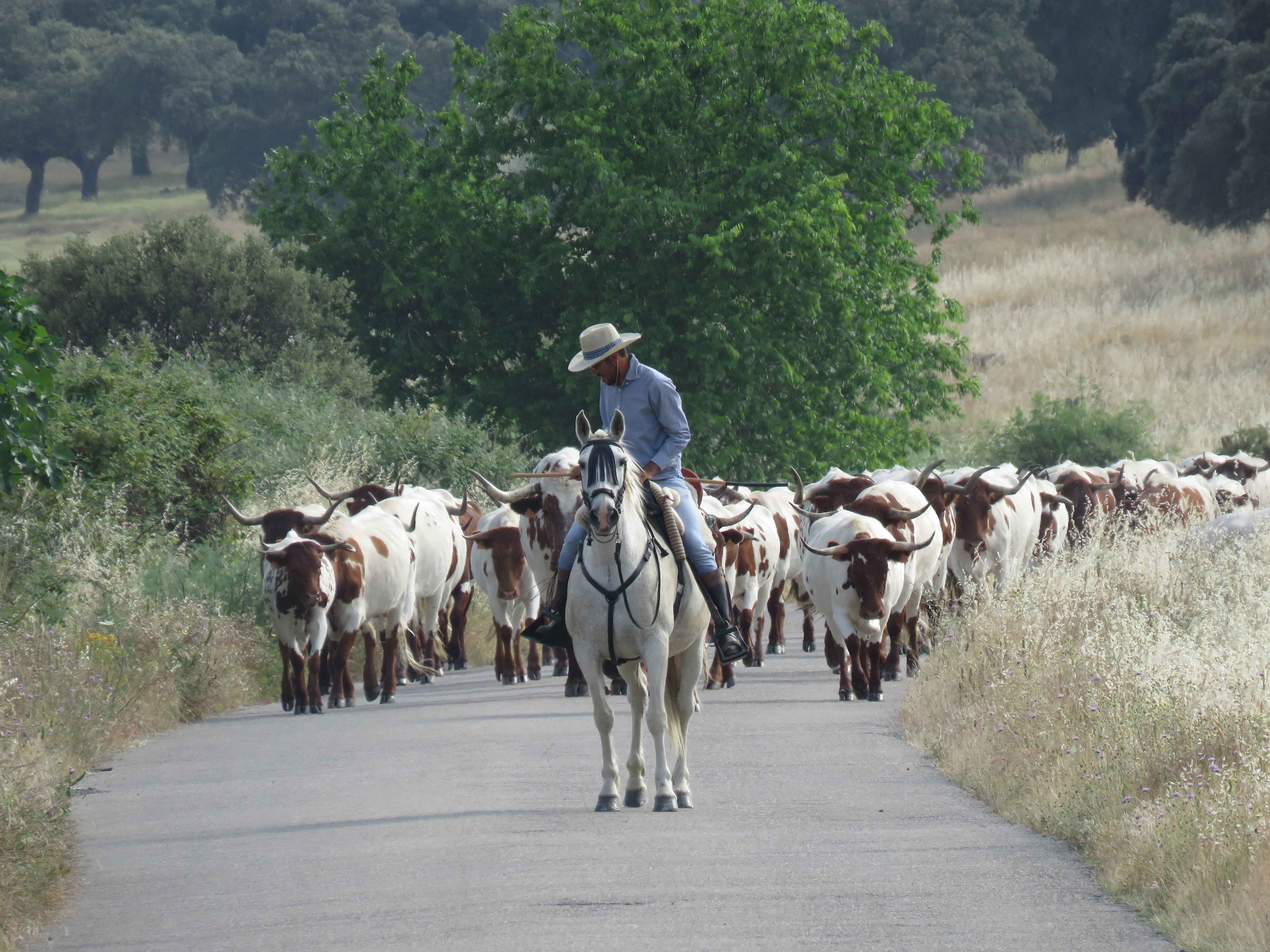 Image fournie par ANABE