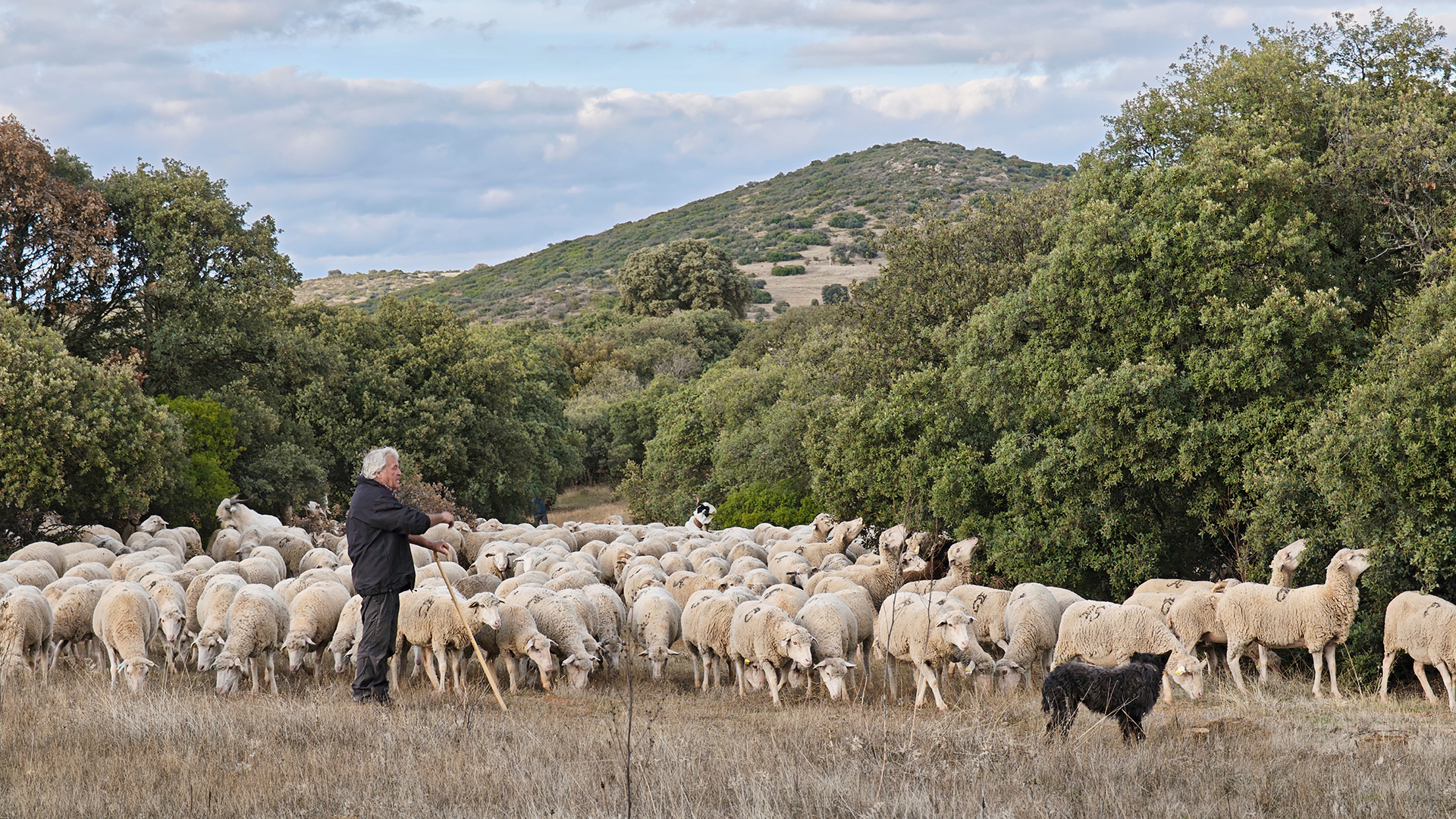 Foto 4 - Paisaje rural