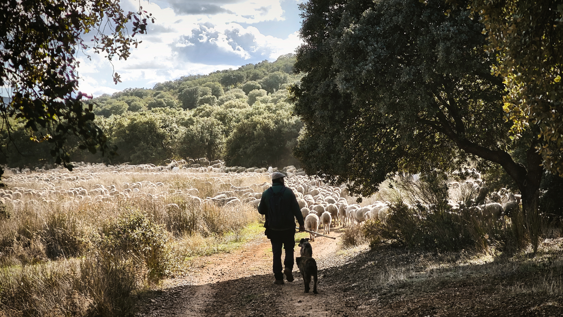 Foto 8 - Sostenibilidad