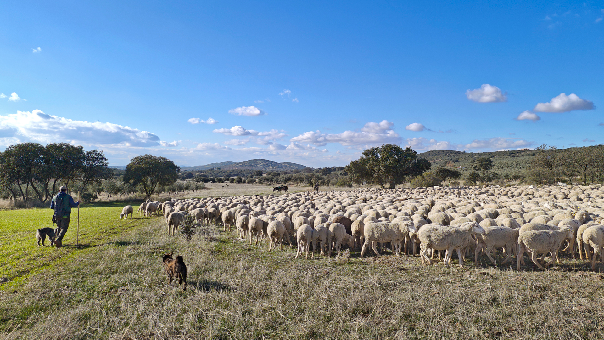 Foto 9 - Desarrollo rural